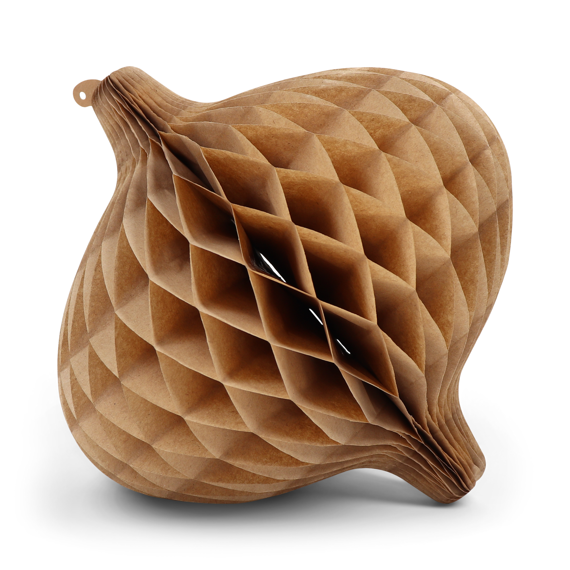 Honeycomb Onion 30cm Kraft