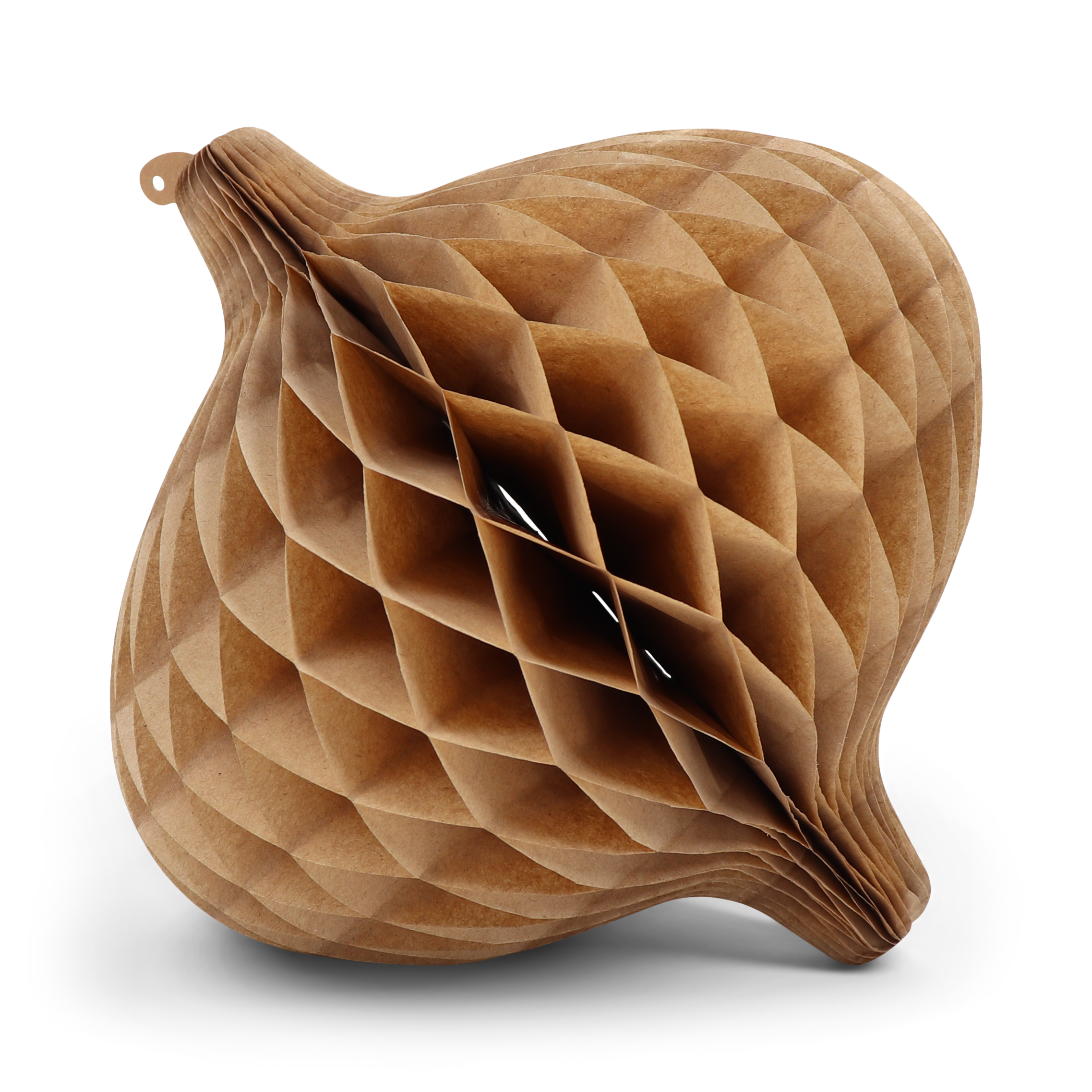 Honeycomb Onion 30cm Kraft