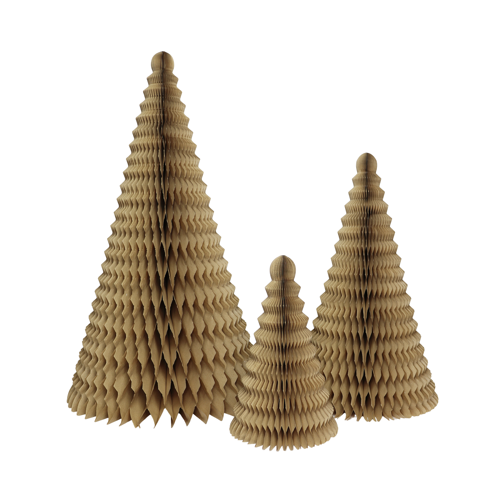 Cone Tree Kraft