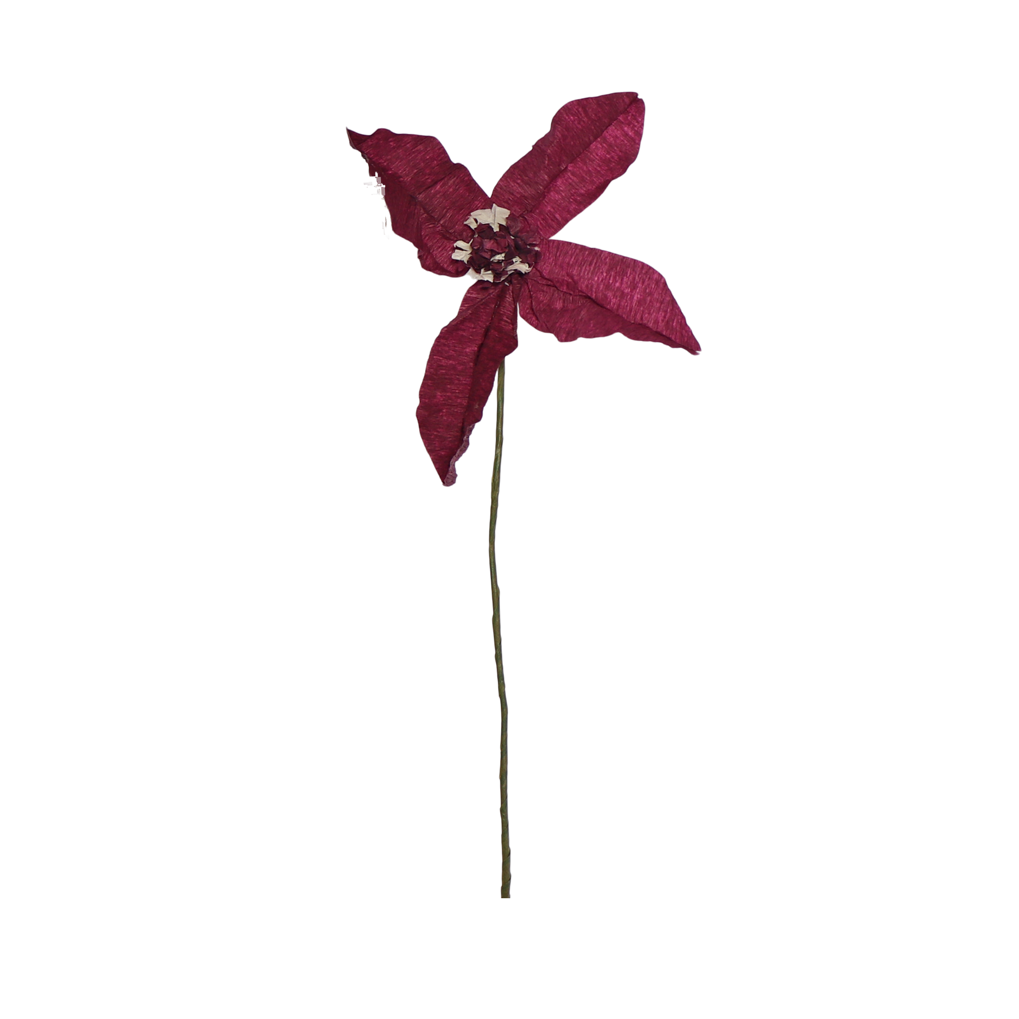 Clematis Paper Flower, Aubergine