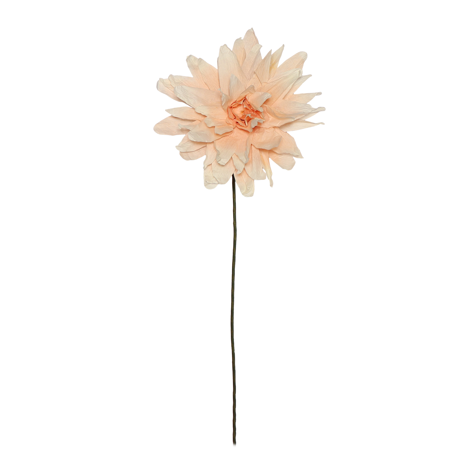 Grand Dahlia Paper Flower, Nude