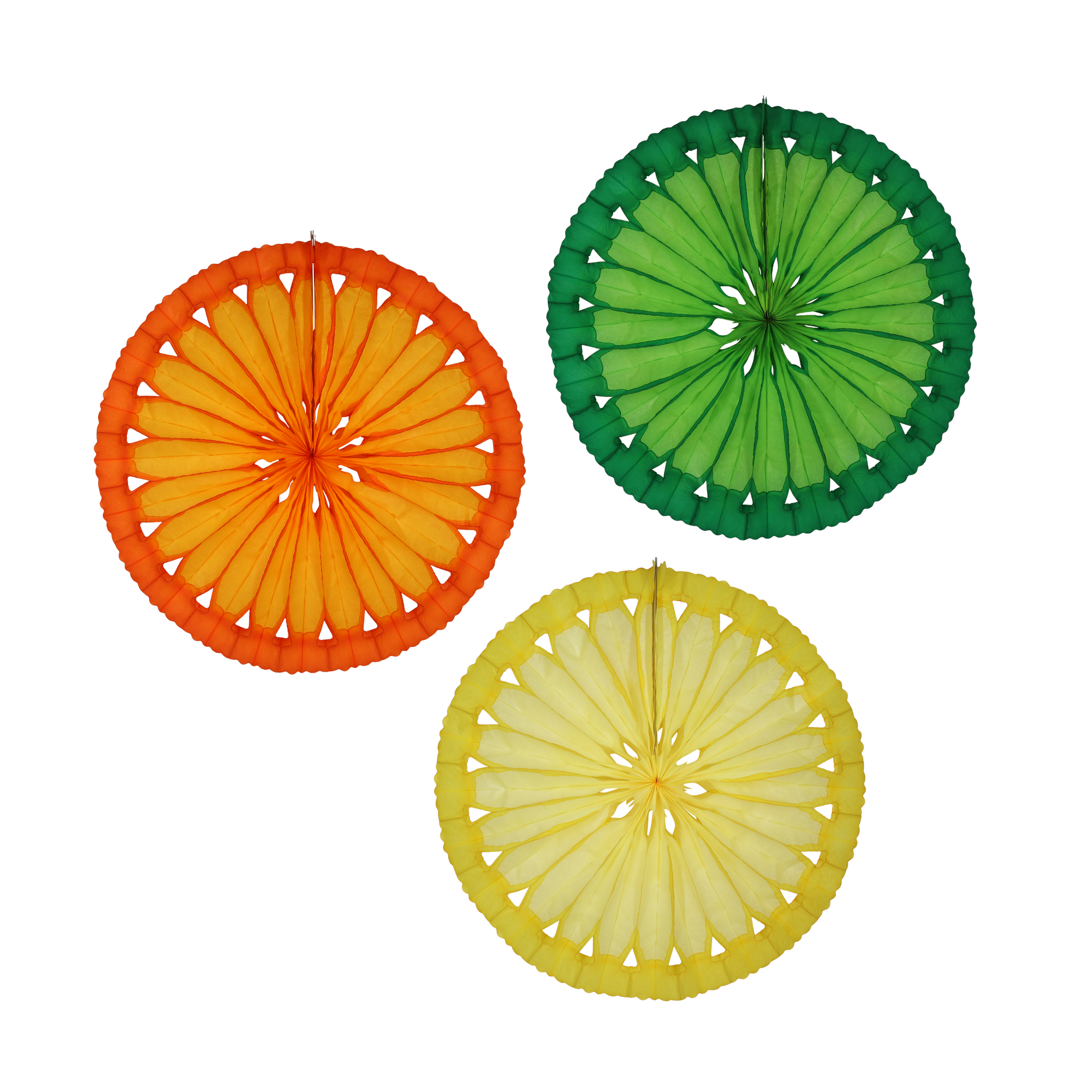 Citrus Slice Fan 40cm, set of 3