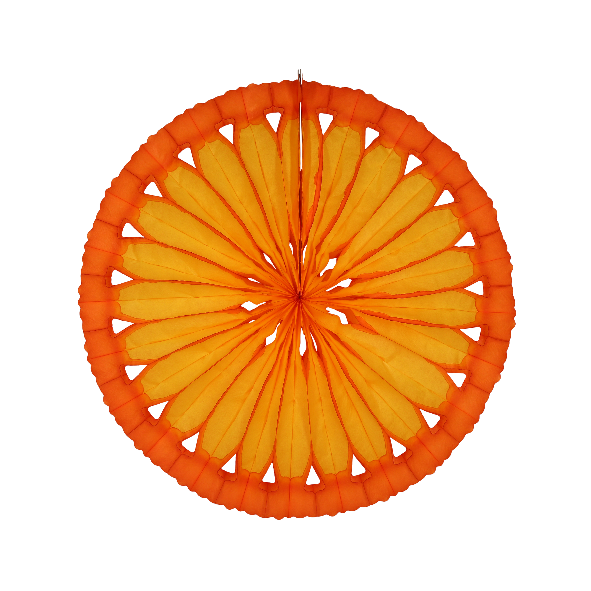 Citrus Slice Fan 40cm, set of 3