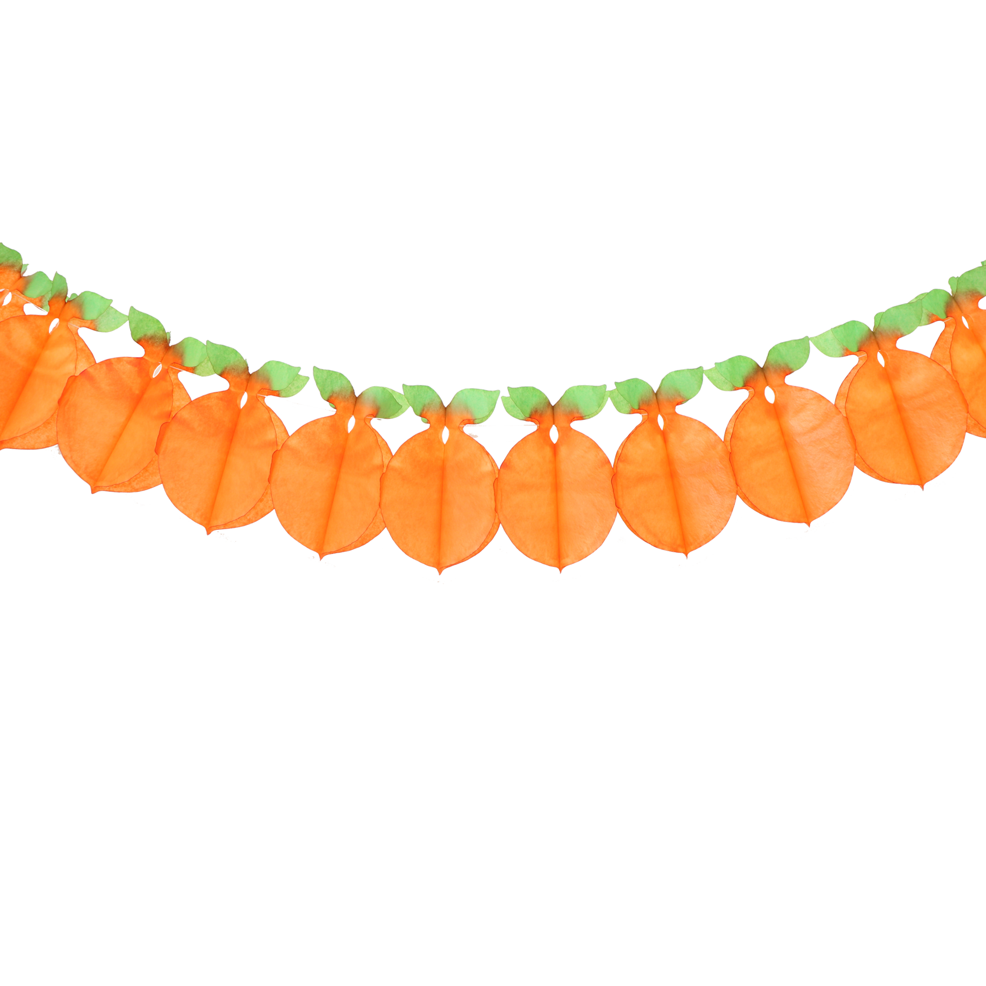 Orange Fruit Garland 3.6m